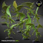 DL - Escouade féminine Spawn of Depravation - BR - DARK LEGIONS - Fantasy – ClayBeastCreation - 25-05 Nouveau